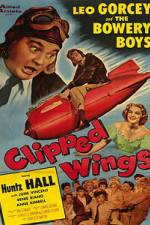 Watch Clipped Wings Primewire