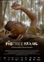 Watch Fig Tree Primewire