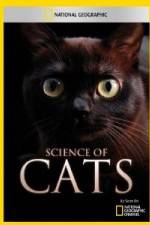 Watch National Geographic Science of Cats Primewire
