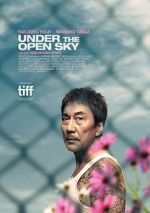 Watch Under the Open Sky Primewire