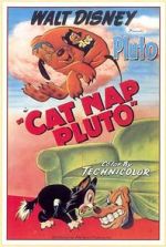Watch Cat Nap Pluto Primewire