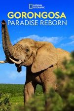 Watch Gorongosa: Paradise Reborn (Short 2022) Primewire