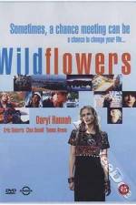 Watch Wildflowers Primewire