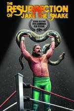 Watch The Resurrection of Jake The Snake Roberts Primewire
