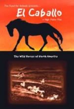 Watch El Caballo: The Wild Horses of North America Primewire