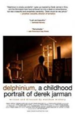 Watch Delphinium: A Childhood Portrait of Derek Jarman Primewire