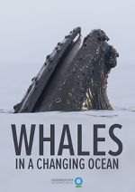 Watch Whales in a Changing Ocean (Short 2021) Primewire