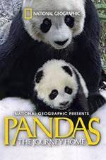Watch Pandas: The Journey Home Primewire
