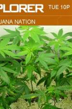 Watch Marijuana Nation Primewire