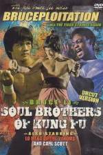 Watch Soul Brothers of Kung Fu Primewire