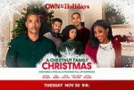 Watch A Chestnut Family Christmas Primewire