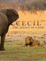 Watch Cecil: The Legacy of a King Primewire
