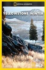 Watch National Geographic Yellowstone Winter Primewire