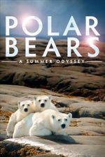 Watch Polar Bears: A Summer Odyssey Primewire