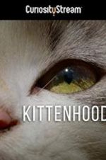 Watch Kittenhood Primewire