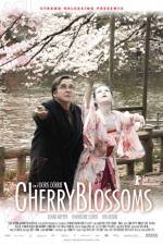 Watch Cherry Blossoms Primewire