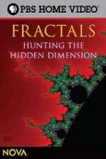 Watch NOVA - Fractals Hunting the Hidden Dimension Primewire