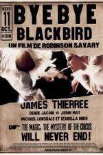 Watch Bye Bye Blackbird Primewire