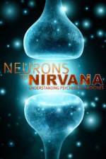 Watch Neurons to Nirvana Primewire