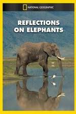 Watch Reflections on Elephants Primewire
