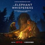 Watch The Elephant Whisperers (Short 2022) Primewire