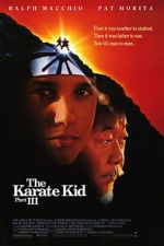 Watch The Karate Kid Part III Primewire