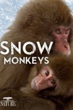 Watch Nature: Snow Monkeys Primewire