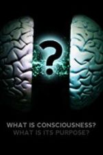 Watch What Is Consciousness? What Is Its Purpose? Primewire