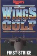 Watch Wings Over the Gulf Vol  1  First Strike Primewire