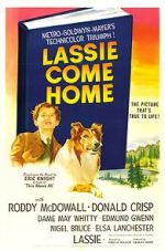 Watch Lassie Come Home Primewire