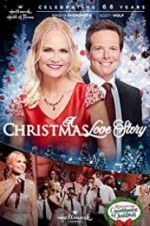 Watch A Christmas Love Story Primewire