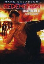 Watch The Redemption: Kickboxer 5 Primewire