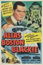 Watch Alias Boston Blackie Primewire