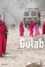 Watch Gulabi Gang Primewire