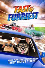 Watch Fast and Furriest Primewire