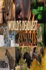 Watch National Geographic - Worlds Deadliest Animal Battles Primewire