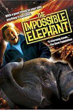 Watch The Incredible Elephant Primewire