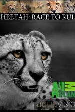 Watch Cheetah: Race to Rule Primewire