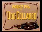 Watch Dog Collared (Short 1950) Primewire