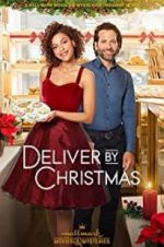 Watch Deliver by Christmas Primewire