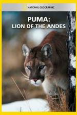 Watch National Geographic  Puma: Lion of the Andes Primewire
