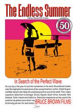 Watch The Endless Summer Primewire
