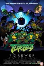 Watch Teenage Mutant Ninja Turtles Turtles Forever Primewire