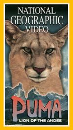 Watch Puma: Lion of the Andes Primewire