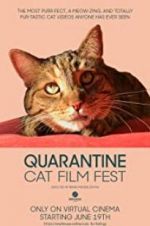 Watch Quarantine Cat Film Fest Primewire