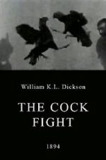 Watch The Cock Fight Primewire