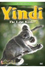 Watch Yindi the Last Koala Primewire