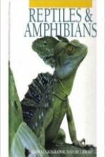 Watch Reptiles and Amphibians Primewire