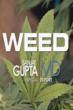 Watch CNN Weed Sanjay Gupta Report Primewire