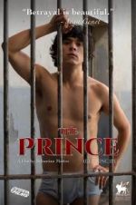 Watch The Prince Primewire